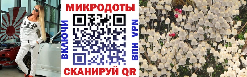 Псилоцибиновые грибы ЛСД  наркошоп  Тулун 